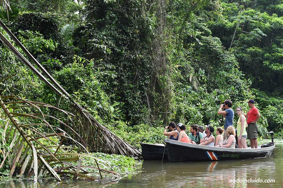 Turistas navegando en los canales de Tortuguero (Costa Rica)