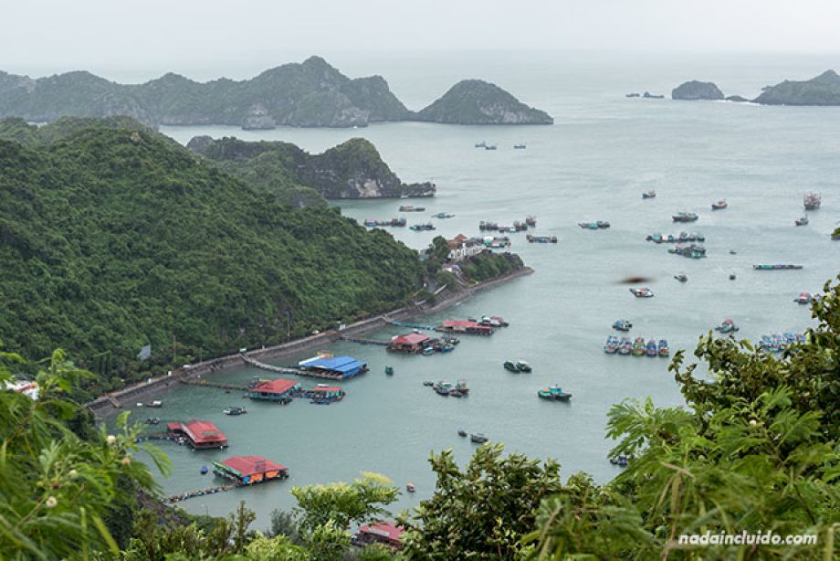 Vista de la Bahía de Lan Ha desde la isla de Cat Ba (Vietnam)