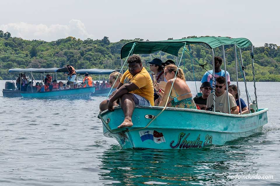 Lanchas turísticas en la bahía de los Delfines - Bahía Honda - Archipiélago de Bocas del Toro (Panamá)