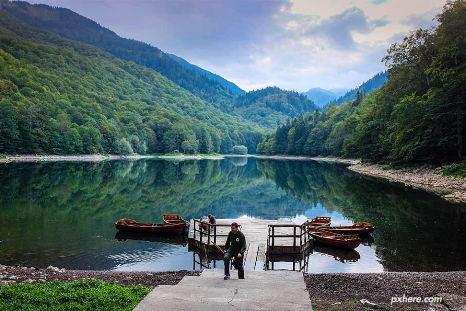 Parque Nacional Biogradska Gora (Montenegro) - Foto Amira_a (pxhere.com)