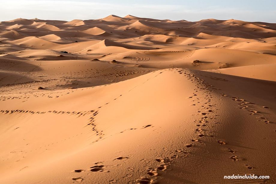 El desierto del Sáhara (Marruecos)