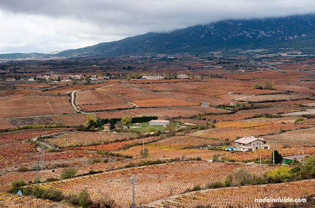 Vista de Rioja Alavesa en otoño desde el mirador de Laguardia (País Vasco, España)