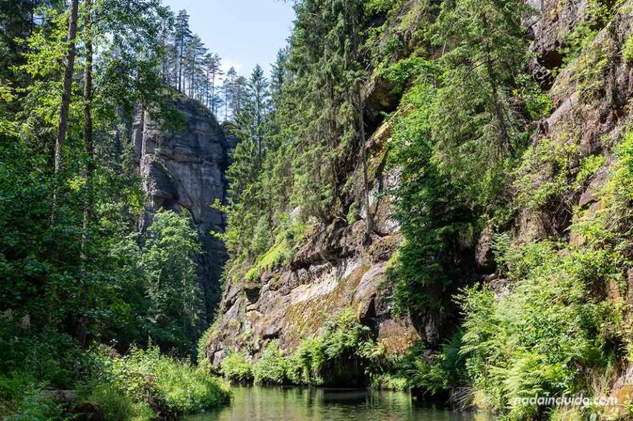 Garganta Salvaje del río Kamenice - Parque Nacional de la Suiza Bohemia (República Checa)