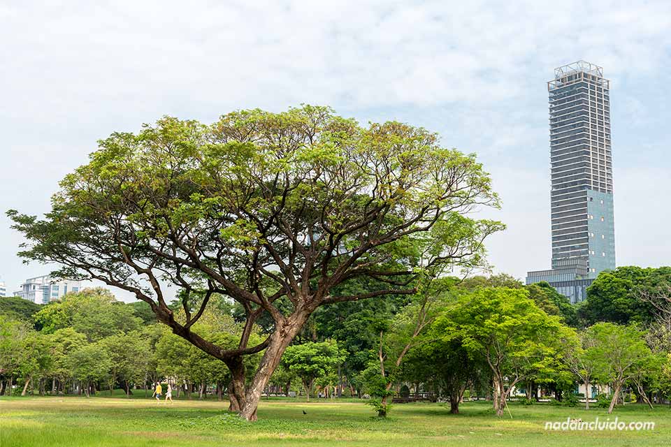 Rascacielos junto al parque Lumphini en Bangkok (Tailandia)