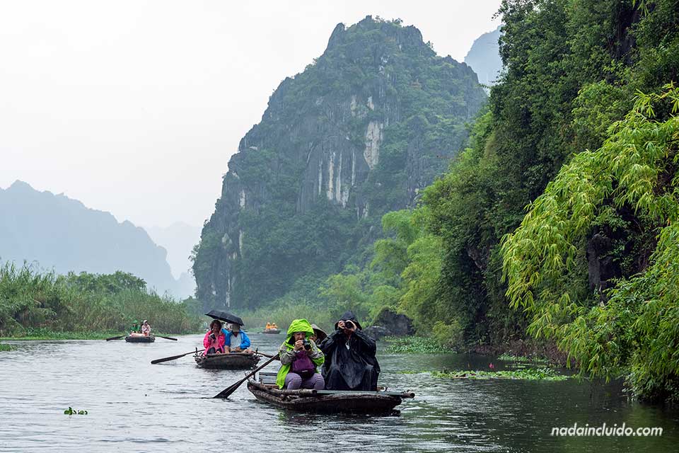 Lluvia en la reserva natural Van Long - Ninh Binh (Vietnam)