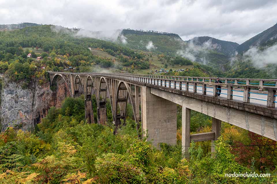 Puente Đurđevića sobre el cañón del río Tara en el parque nacional Durmitor (Montenegro)