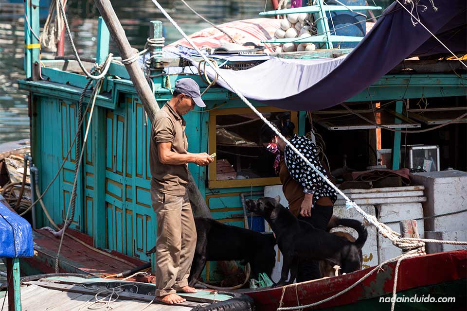 Vietnamitas en un pueblo flotante de la Bahía de Lan Ha (Vietnam)