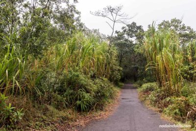 El sendero Las Coladas en el Parque Nacional del Volcán Arenal (Costa Rica)