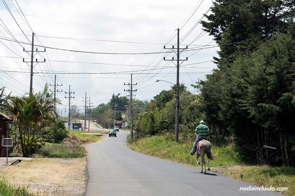 Carretera que lleva al Jardín Botánico Lankester (Cartago, Costa Rica)