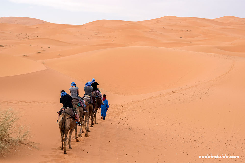 Tour en camello por el desierto del Sáhara (Marruecos)