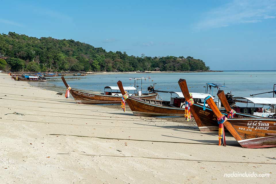 Barcos en la playa Tonsai de la isla Phi Phi Don (Tailandia)