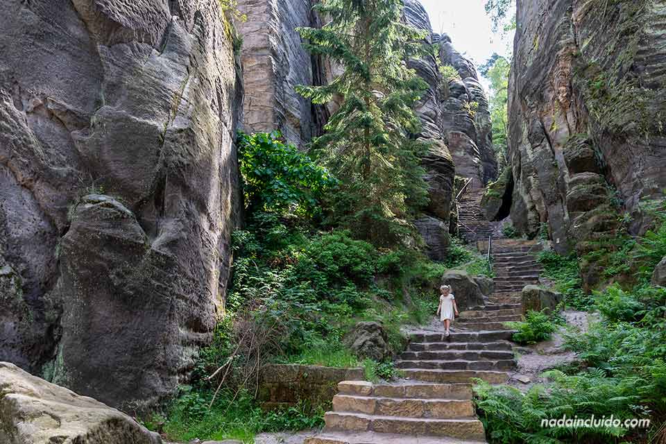 Corredor Imperial (Císařská chodba) - Qué ver en las rocas de Prachov (Prachovské skály) - República Checa