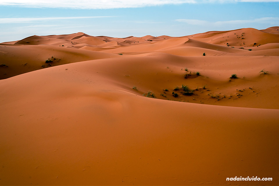 Vista del desierto del Sáhara (Marruecos)