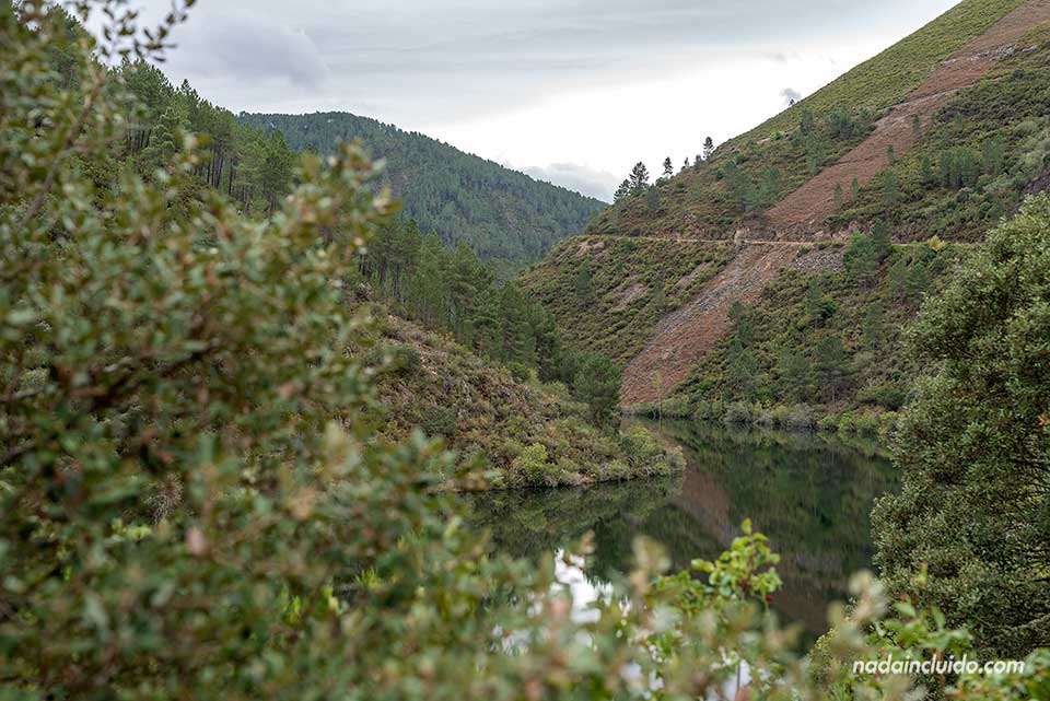 Río Bibey entre matorrales en la zona de Ribeira Sacra (Galicia)