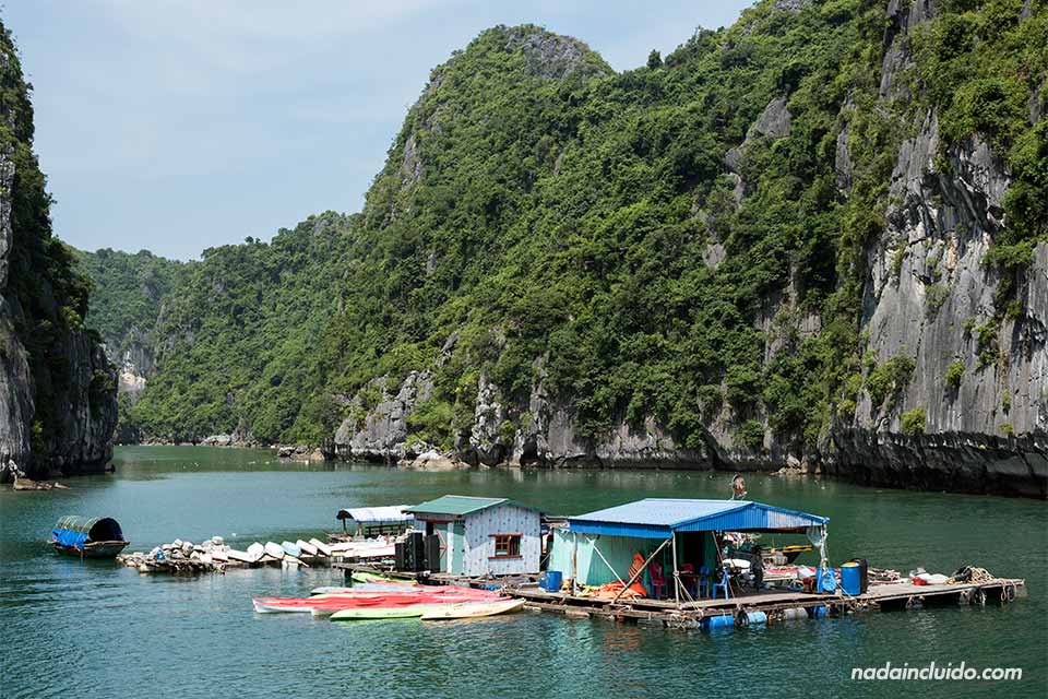 Tienda de kayaks en la Bahía de Lan Ha (Vietnam)