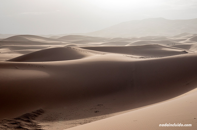 Desierto del Sáhara al amanecer (Marruecos)