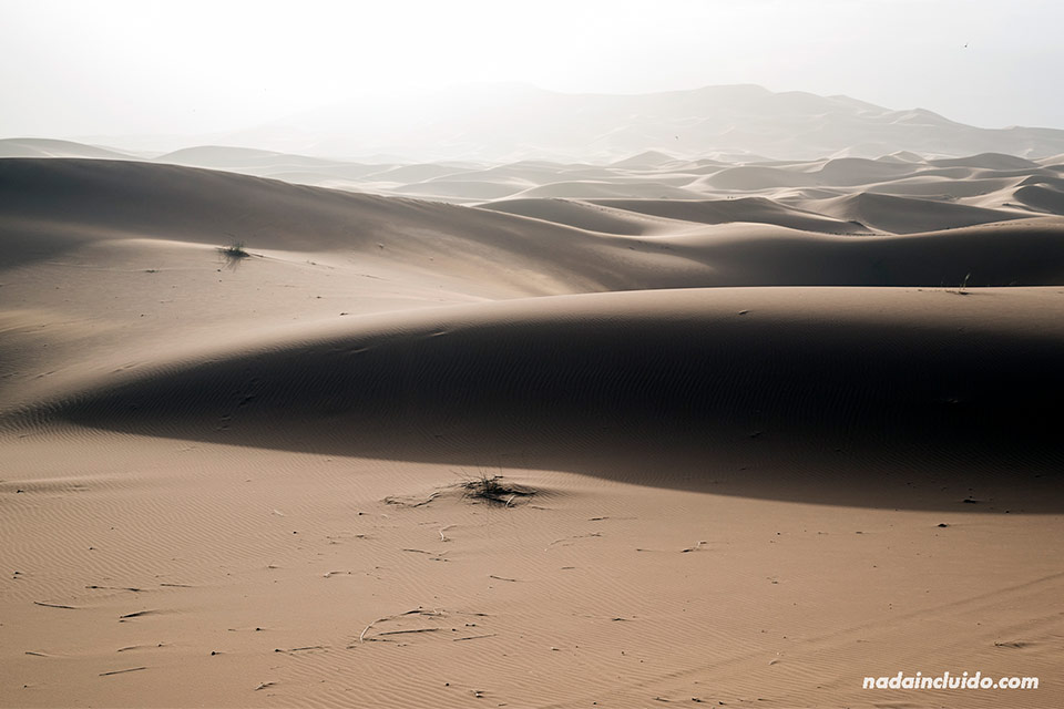 Primeras luces del día sobre el desierto del Sáhara (Marruecos)