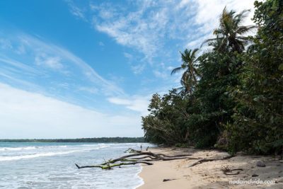 Playa del Parque Nacional Cahuita (Limón, Costa Rica)