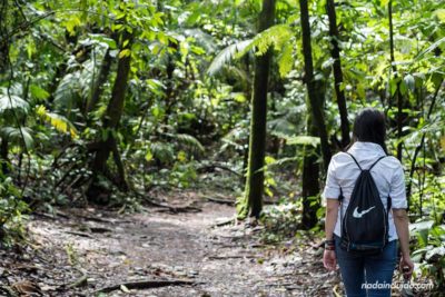 Paseando por el Sendero El Ceibo en el Parque Nacional Volcán Arenal (Costa Rica)