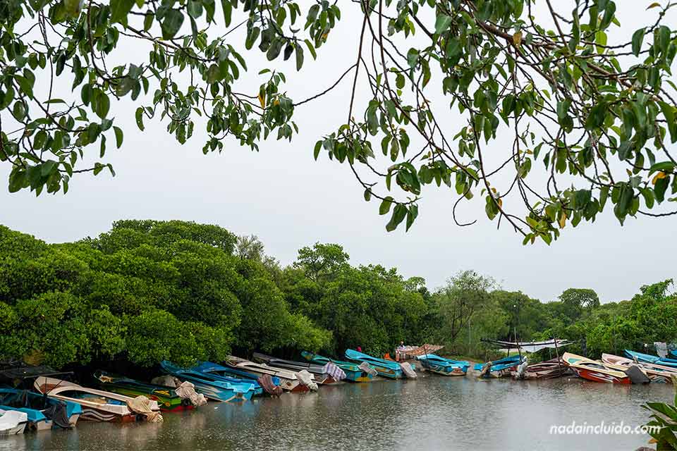 Barcas amarradas junto al puente Kothalawa - Negombo (Sri Lanka)