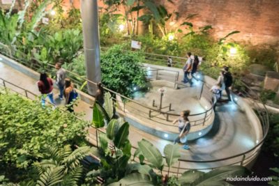 Mariposario en el museo nacional de Costa Rica, San José
