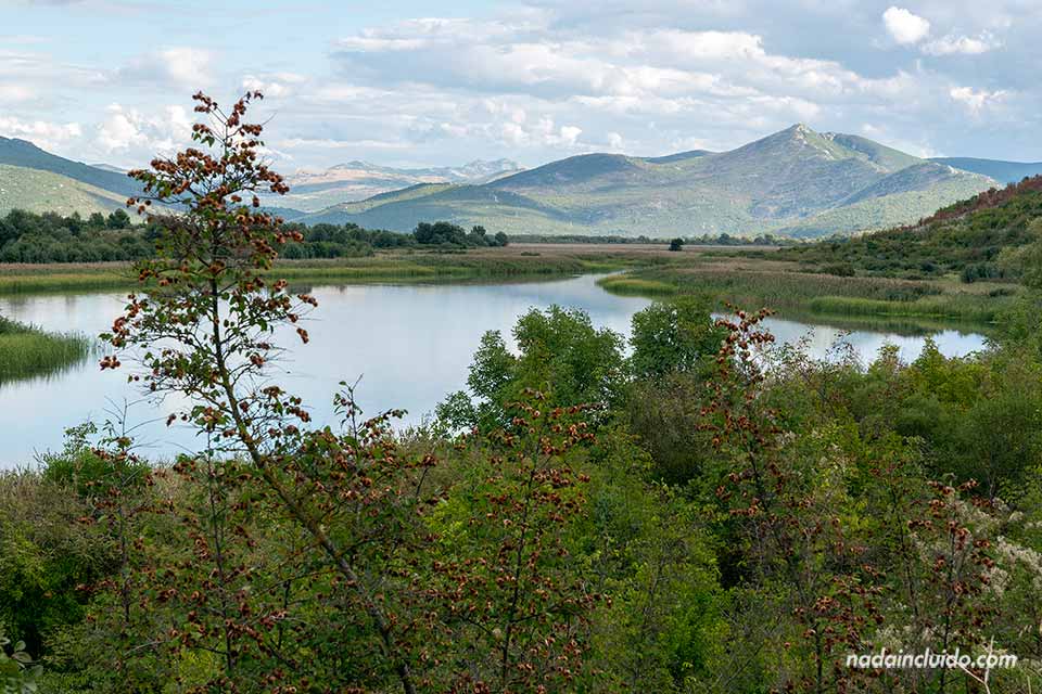 Lago Stivasko en el parque natural Hutovo Blato (Bosnia y Herzegovina)