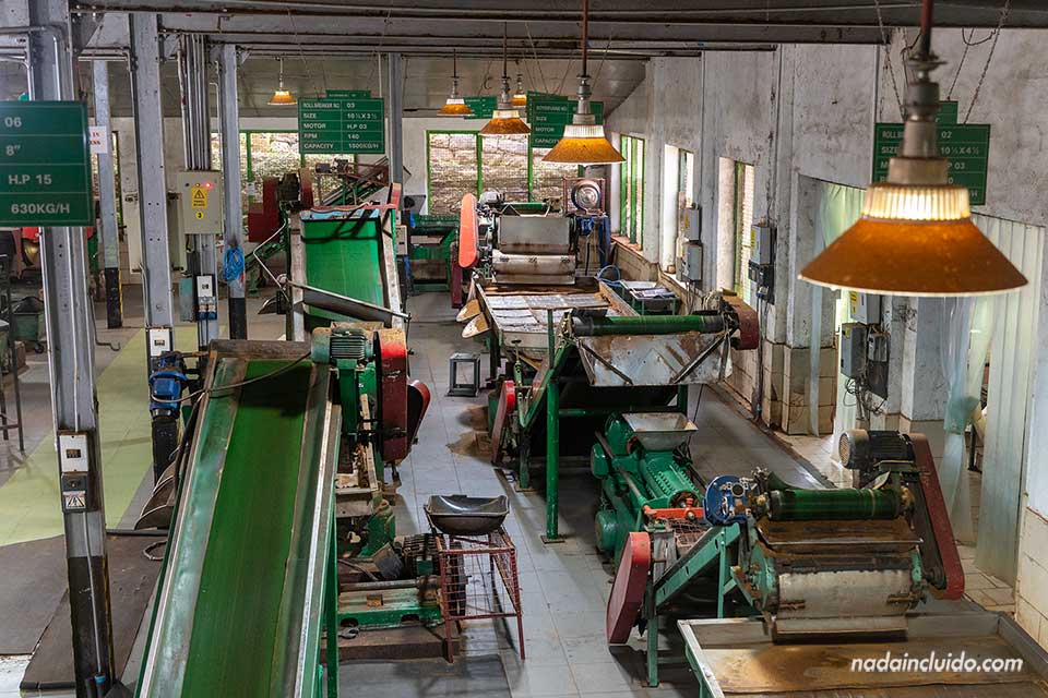 Sala de máquinas de la fábrica Damro Tea - Labookellie (Sri Lanka)
