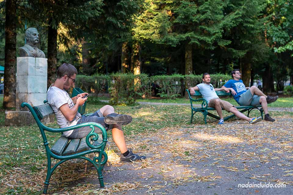 Usando el teléfono móvil en un parque de Centije - Viajar a Montenegro