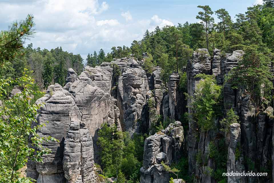 Vistas de las rocas de Prachov desde el mirador Všetečkova - Prachovské skály (República Checa)