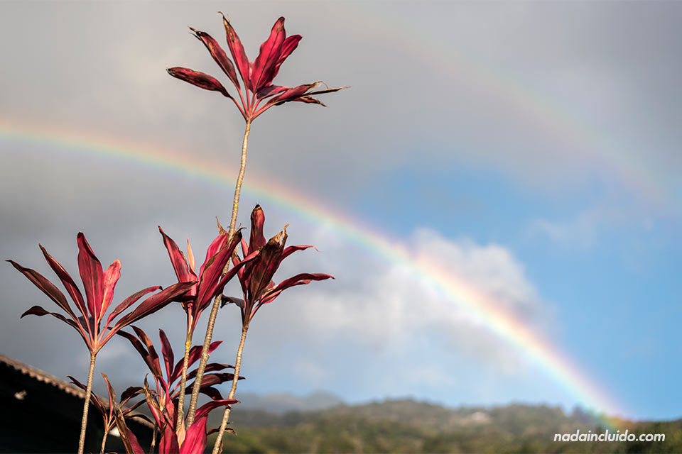 El arcoíris sale tras una flor en Bajo Boquete (Panamá)