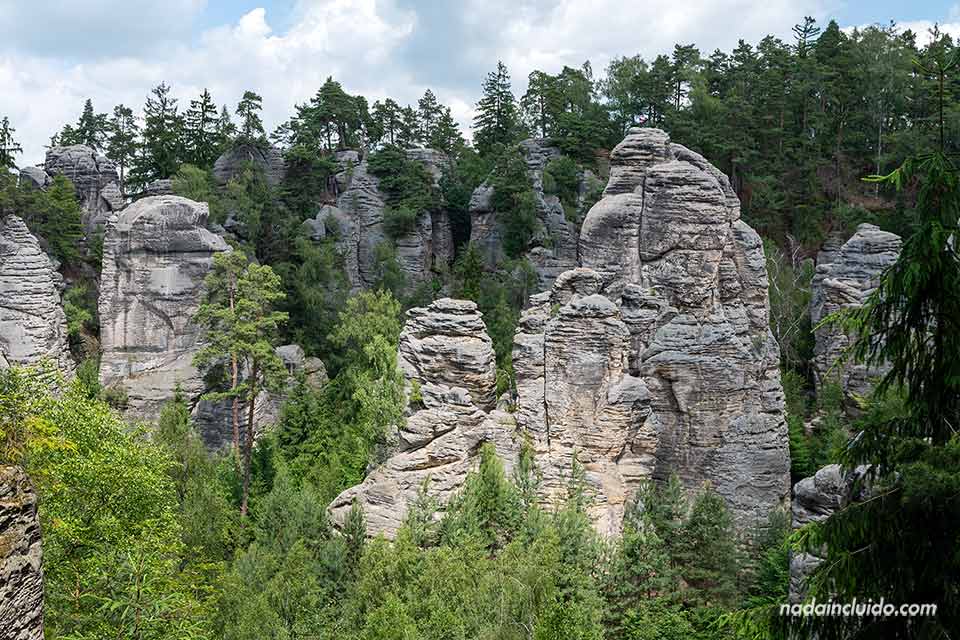 Vistas de las rocas de Prachov desde el Denisova cesta - Prachovské skály (República Checa)
