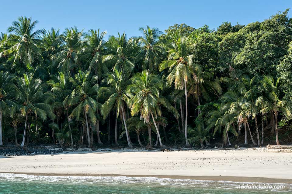 Isla Bolaños en el Parque nacional marino golfo de Chiriqui (Panamá)