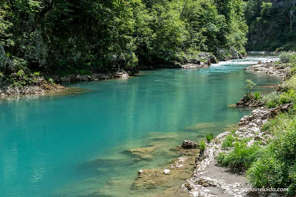 Orilla del cañón del río Tara a su paso por el parque nacional Durmitor (Montenegro)