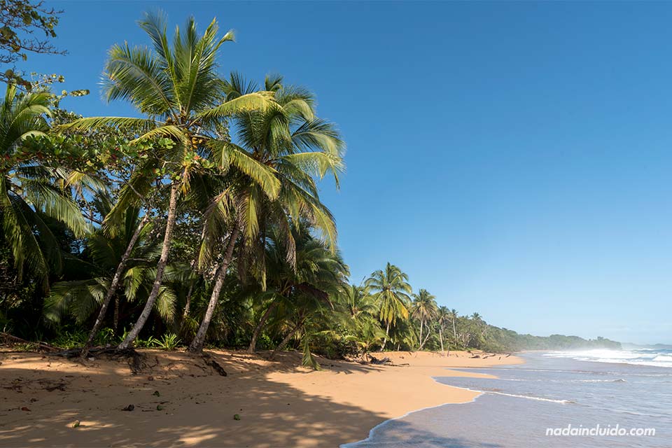 Playa Bluff en isla Colón, archipiélago de Bocas del Toro (Panamá)
