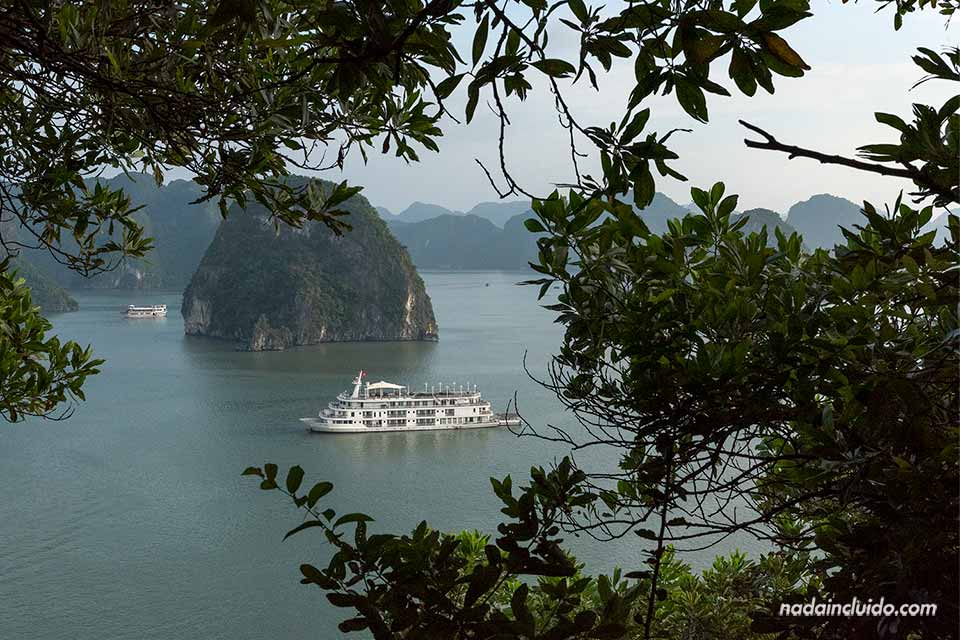 Entre los árboles del mirador de la isla Titov (Tip Top) - Qué ver en la bahía de Halong (Vietnam)