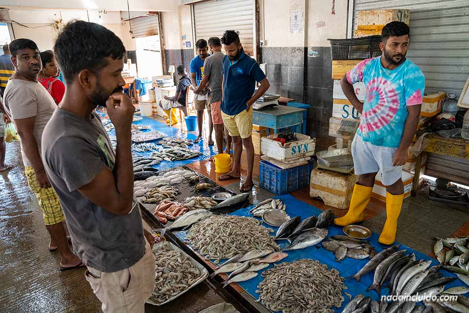 Mercado de pescado - Qué ver en Trincomalee (Sri Lanka)