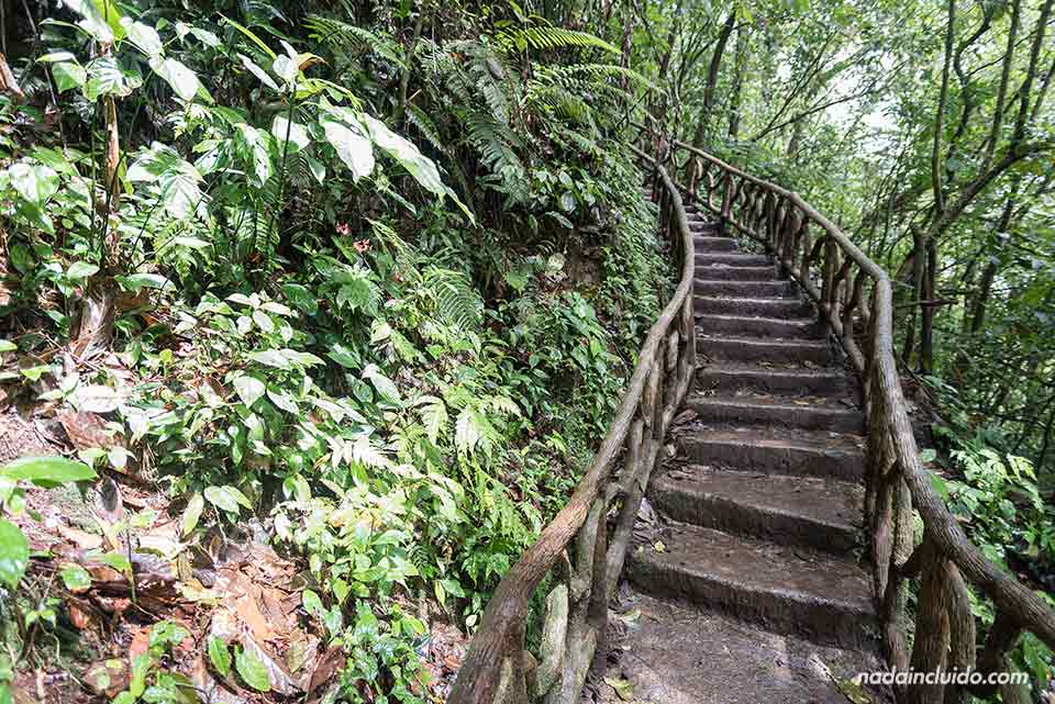 Escaleras para bajar a la catarata de Río Celeste, en el Parque Nacional del Volcán Tenorio (Costa Rica)
