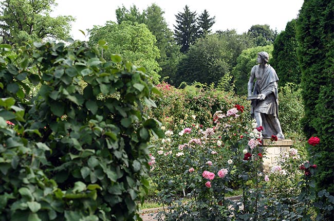 Estatua en el Jardín Botánico de Cluj-Napoca (Rumanía)